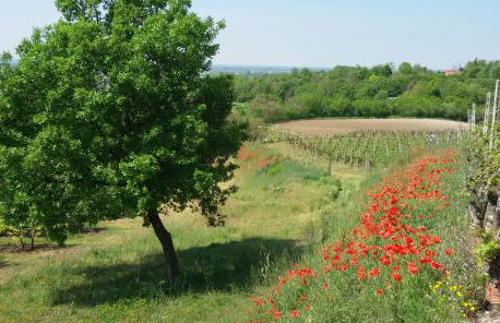 Agriturismo La Torretta da Valentina - Foto 44