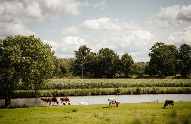 Getaway With Garden in Gelderland - Foto 35