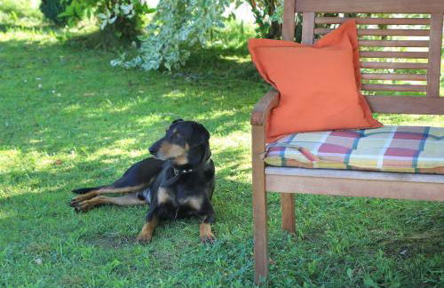 Heutauer Hof - Foto 10