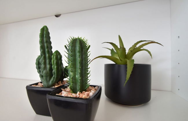 Modern Holiday Home in Wolphaartsdijk With Private Garden - Foto 7