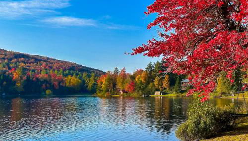 Serenity by the lake - Foto 5