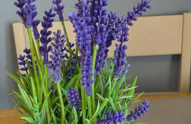 Linnhe View Fort William - Foto 14