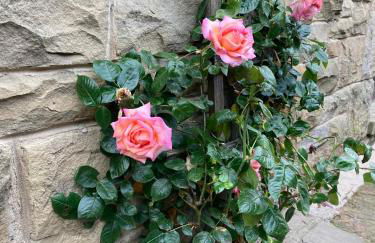 Pingle Nook Barn, Denby Dale - luxury accommodation on the farm - Foto 6