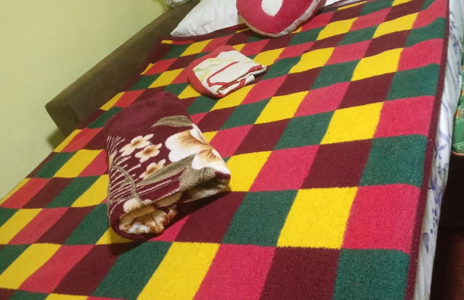 Room in Guest Room - Cozy Rural Retreat in Roşia Montana - Photo 5