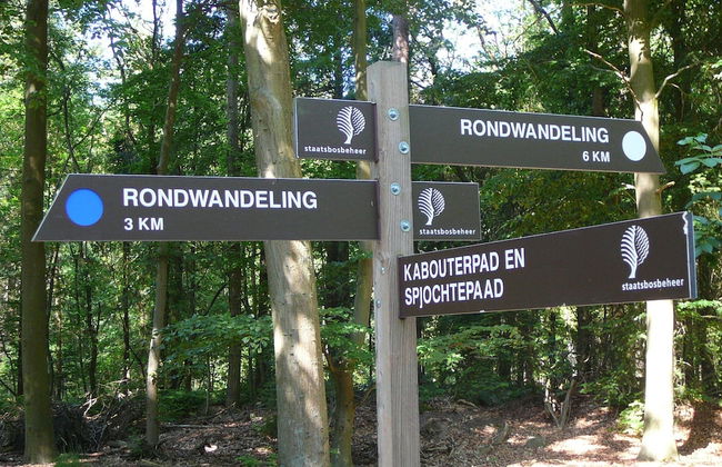 Superb Villa in the Woods of Gaasterland With Wifi and Fireplace - Foto 25