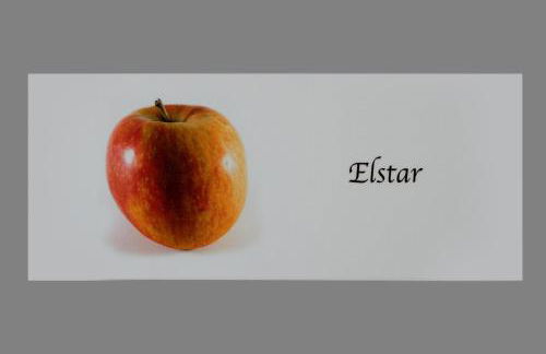 Stoanpeppelehof - Foto 16