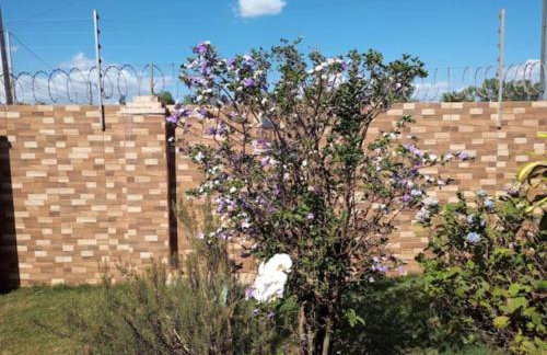 CASA COM SPA DE HIDRO, AQUECEDOR E CROMOTERAPIA A 1,0 kM DO CENTRO - Foto 28
