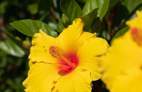 Residenza Marinella - Foto 27