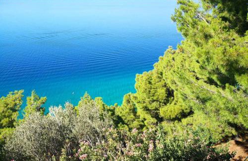 Beautiful apartment 80 m from the sea - Foto 19