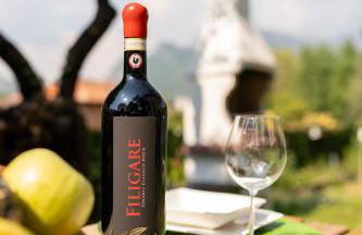 garda garden apartment - Foto 30