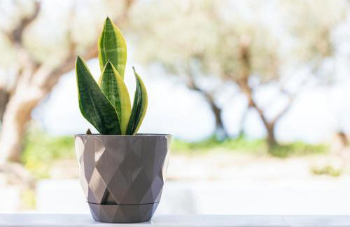 S&V Luxury Apartment - Photo 21