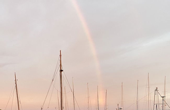 Ostseekrabbe - Foto 26