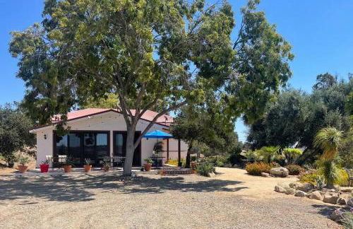 Hilltop Vineyard and Agave Field with View - Photo 3