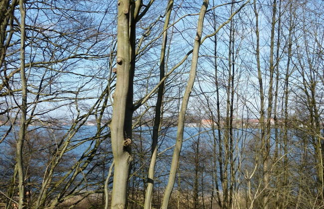 Frunn Stuuv Comfortable Holiday Residence - Foto 20