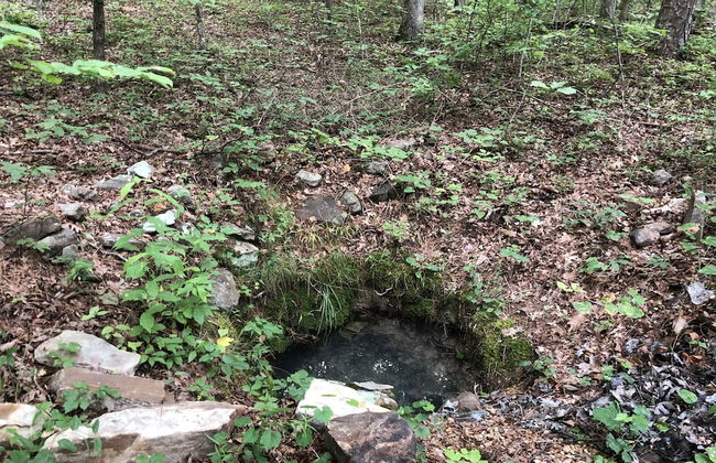 Hickory Hill Cabin Rentals - Foto 42