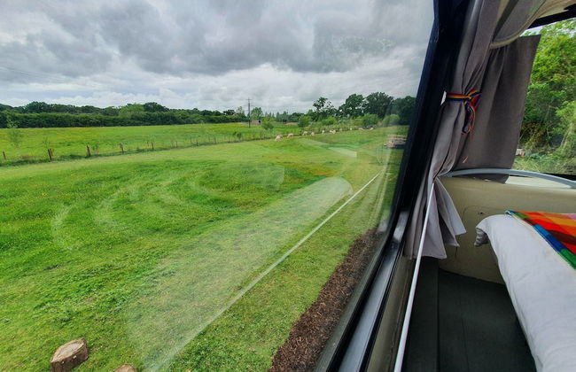 Double Decker Bus on an Alpaca Farm Sleeps 8 - Foto 63