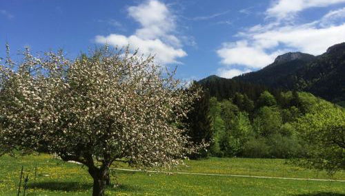 Alpaka-Hof Landinger - Foto 5