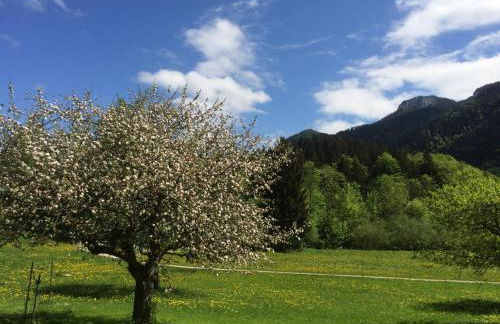 Alpaka-Hof Landinger - Foto 5