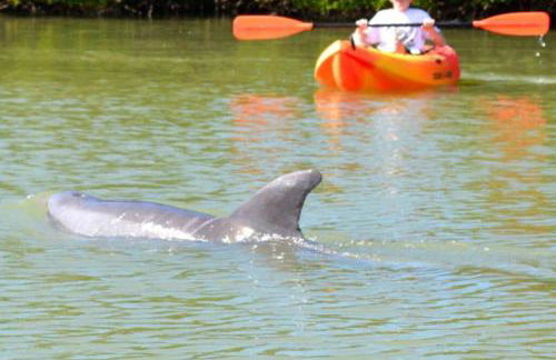 Luxury Beach Condo Located On The Bay In A Tropical Oasis!!! - Foto 51