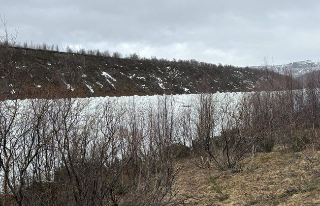 7 Person Holiday Home in Tana - Photo 17