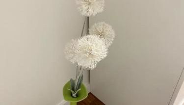 Gästehaus Brunswiek Studio - Foto 2