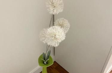 Gästehaus Brunswiek Studio - Foto 2