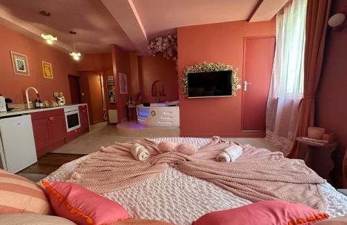 LE LOVE-ROOM, Jacuzzi, Hyper-centre - Foto 45