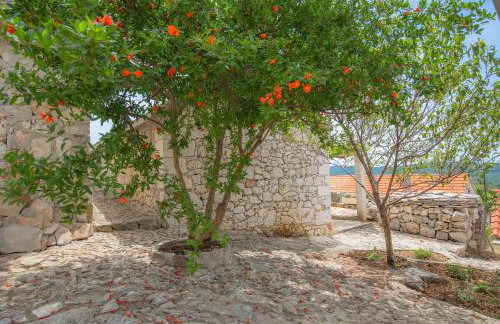 Dalmatian Stone House - Photo 39