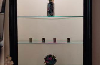 L'ulivo e il colibrì - Foto 29