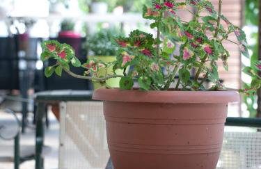 Maria Apartments - Photo 57