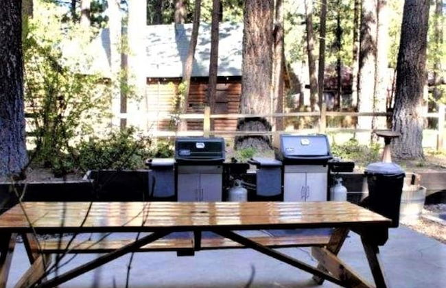 Snow Lake Lodge - Foto 47