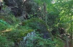 Villa Bad Bertrich - Photo 53