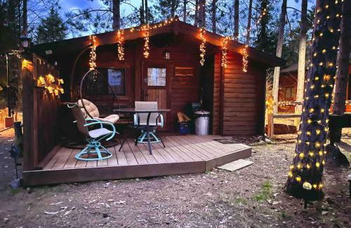 Lakeshore Lily Pad - Foto 5