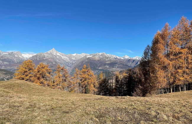 Appartement for Holiday Lodge 1891 - Foto 15