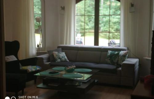 Pluski Dom "Ryś" nad J. Pluszne - Foto 4