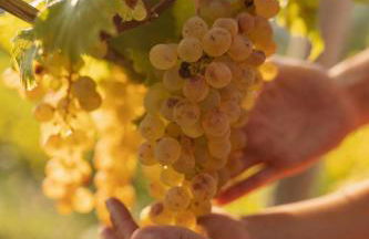 Agriturismo Per Caso - Photo 23