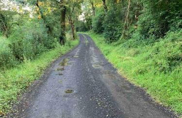 The Burrow - Foto 31