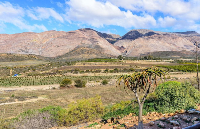 Bon Accord Farm Cottages - Foto 30
