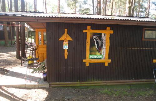 Ośrodek Wypoczynkowy Jaszczurka - Foto 30