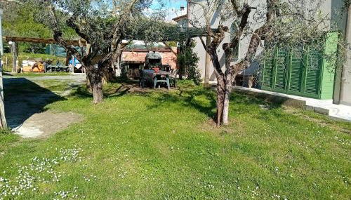 Cà degli Aredi - citra (011011-LT-0106) - Foto 5