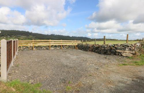 Trefor Ganol - Foto 31