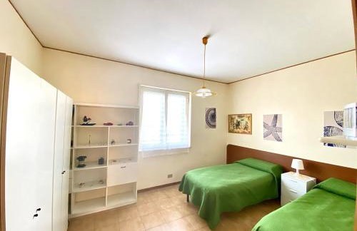 Crateri e coralli - Foto 12