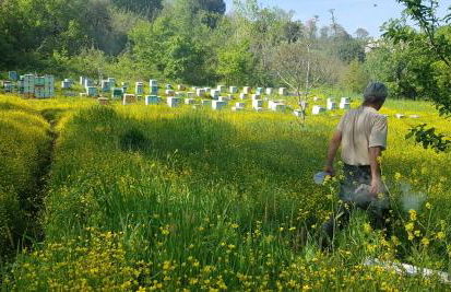 The Strawhouse under the mountain - Foto 34