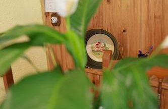 El arroyo del valle - Foto 60