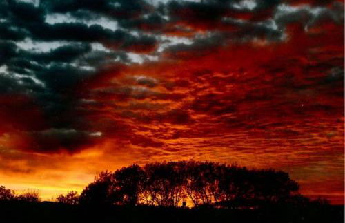 Ferienwohnung Keller Eriskirch - Photo 15