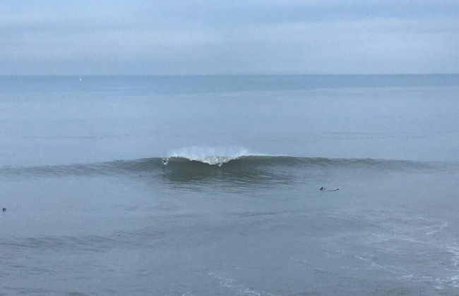 Cosy Cottage Near Hartland Village - Photo 10