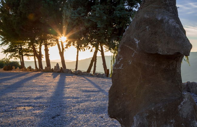 Masseria Straziuso - La Vaccariccia - Photo 41