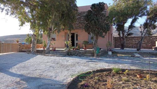 Blue Agave - Foto 3, Garden