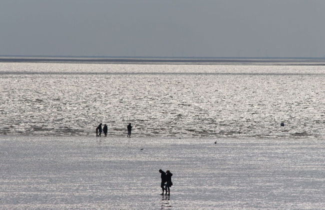 Elke Luthje Modern Retreat - Foto 26