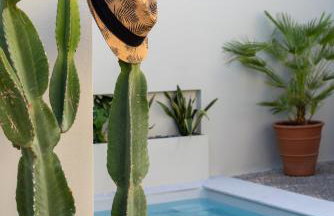 Gioma Luxury Villas - Foto 64